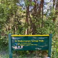 Te Waikoropupu Springs: A Natural Wonder! 💧🌿