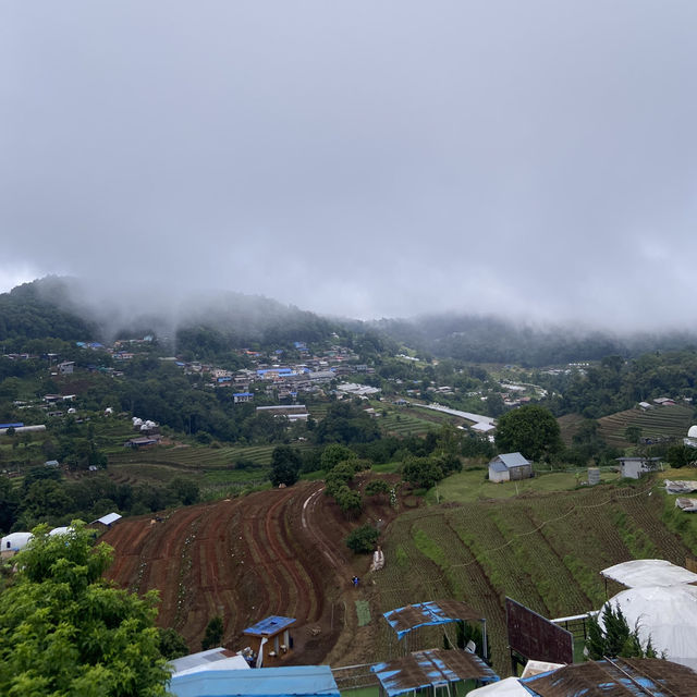 ม่อนแจ่มหน้าฝน... ไม่ได้หม่นอย่างที่คิด ☁️🌿
