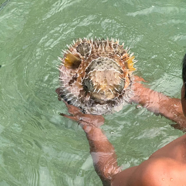 Karimunjawa: Indonesia's Hidden Gem Archipelago! 🇮🇩🏝️