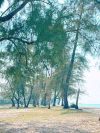 Escape the Noise, Embrace the Coast – Hello Pantai Mangkuk!