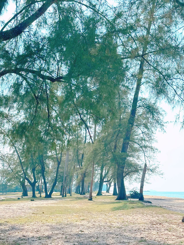 Escape the Noise, Embrace the Coast – Hello Pantai Mangkuk!