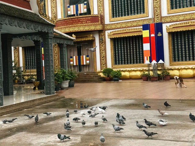 Golden Quietude — Wat Preah Prom Rath, Siem Reap