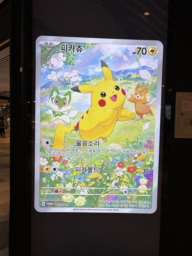 チャムシルのポケモンコラボ！！