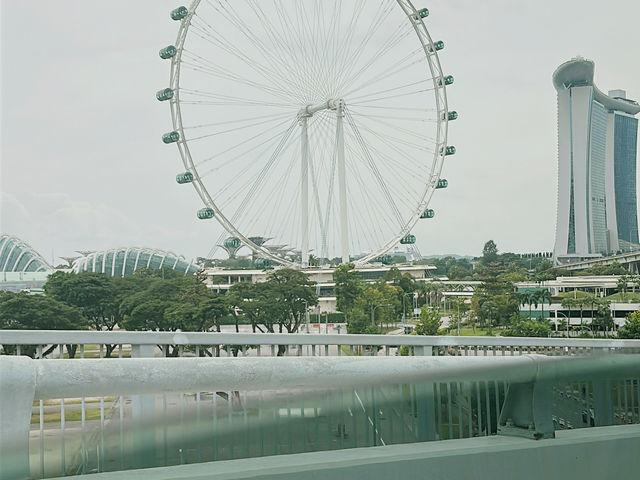 Singapore 1 Days Itinerary