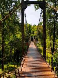 🌳 เขตห้ามล่าสัตว์ป่าเขากระโดง เที่ยวบุรีรัมย์