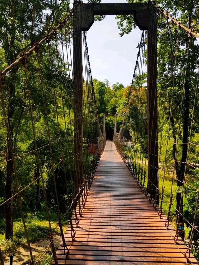 🌳 เขตห้ามล่าสัตว์ป่าเขากระโดง เที่ยวบุรีรัมย์
