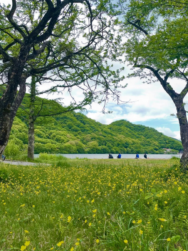 【榛名湖】高原の風と湖畔の絶景に癒されるアウトドア旅