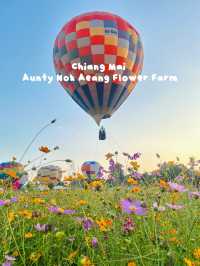 Heaven is a Field of Flowers and a Sky Full of Balloons @Aunty Nok Aeang Flower Farm, Chaing Mai 🎈🌸