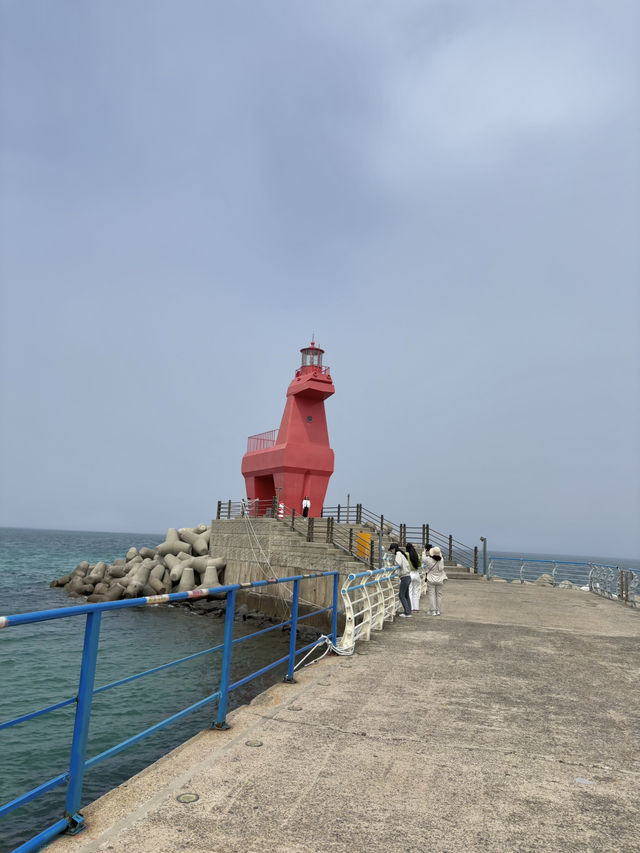 제주 공항 근처 여행코스 3곳 이렇게만 가면 성공 🌊