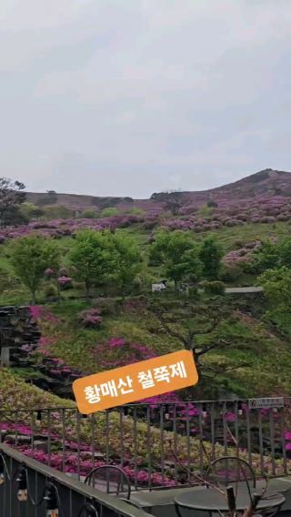 황매산.
