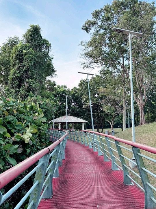 Urban Escape: The Calm of Taman Tasik Cyberjaya