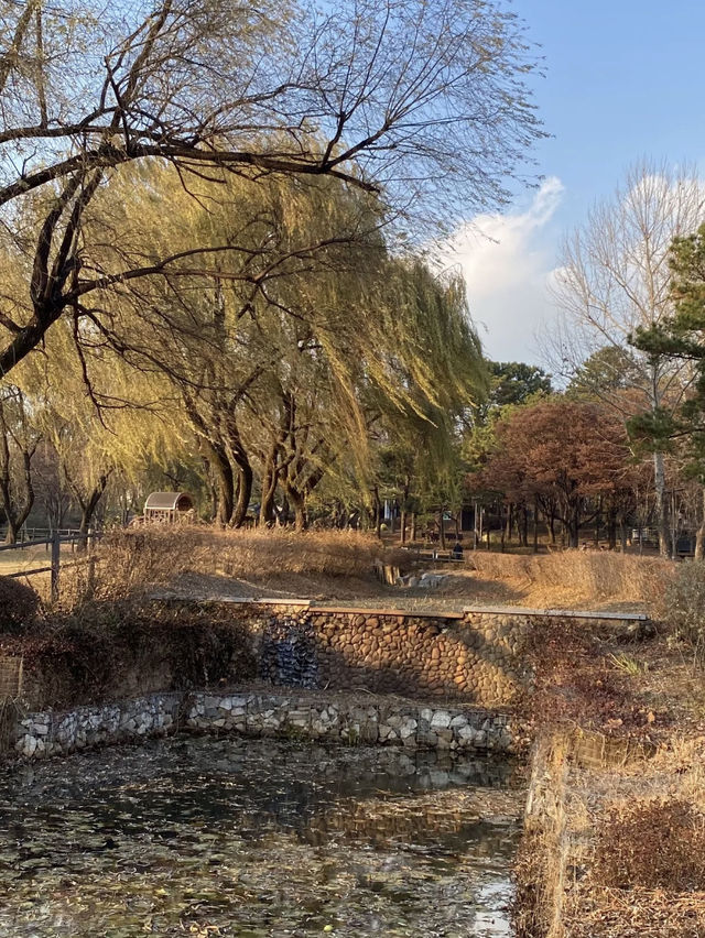 Yongsan family park เดินเล่นที่สวนยงซาน 🧺
