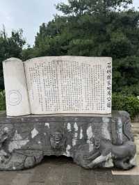 Kunming 9 Days Itinerary
