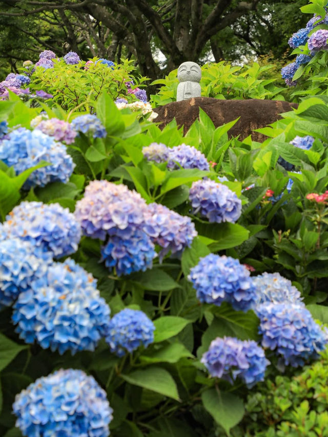 【静寂と縁結びの聖地⛩️尾高観音で心を整える癒し旅】