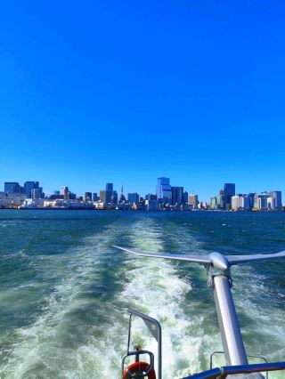 Cruise from Asakusa to Odaiba, Tokyo - Unforgettable experience!