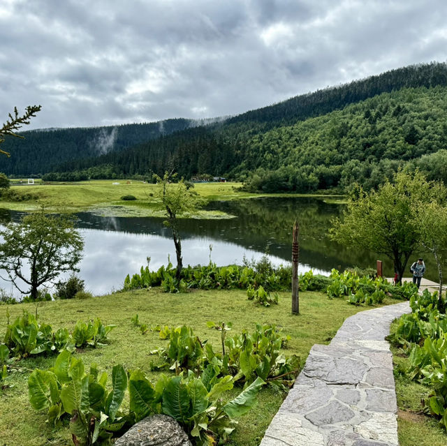 Find tranquility trekking through nature’s beauty