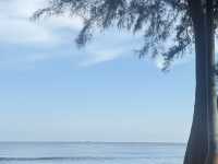 ✨【How to Spend 4 Days in Miri, Sarawak】✨