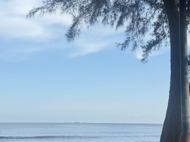 ✨【How to Spend 4 Days in Miri, Sarawak】✨