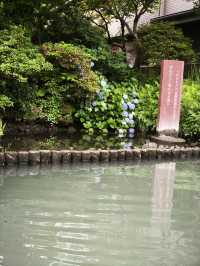柳川真係俾河道環繞嘅一個地方