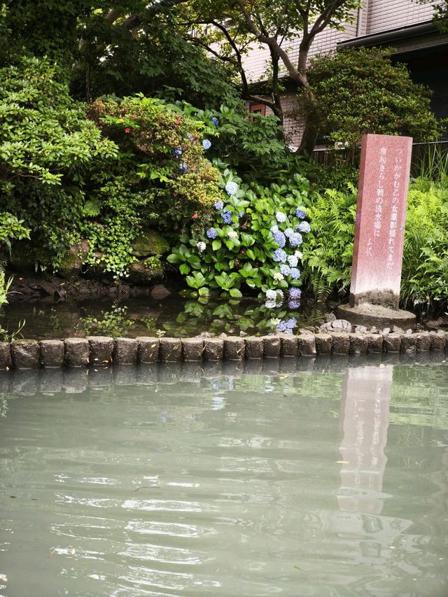 柳川真係俾河道環繞嘅一個地方