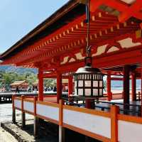 ⛩️ Great Torii Summer Survival Guide