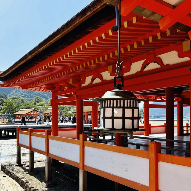⛩️ Great Torii Summer Survival Guide