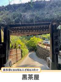 【東京】この夏に行きたい奥多摩にある人気カフェ☕🌿