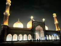 Exploring the Heart of India – New Delhi Diaries