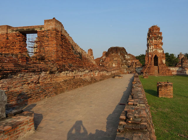 🌿 Whispers of the Past at Wat Mahathat, Ayutthaya