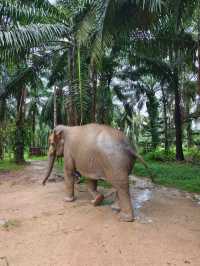 Krabi 3D2N Free and Easy Tour