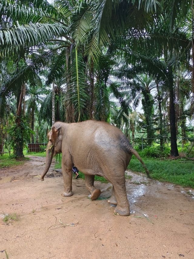 Krabi 3D2N Free and Easy Tour