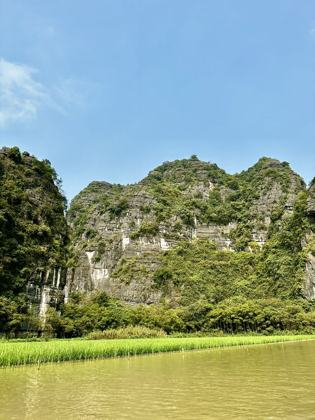 Oars, Caves, and Rice Dreams: Tam Coc Like You’ve Never Seen It