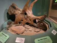 🏛️【ロイヤル・サスカチュワン州立博物館（Royal Saskatchewan Museum）】自然・歴史・文化が学べ
