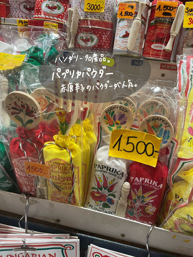 ハンガリーのブダペストってどんな街❓🇭🇺