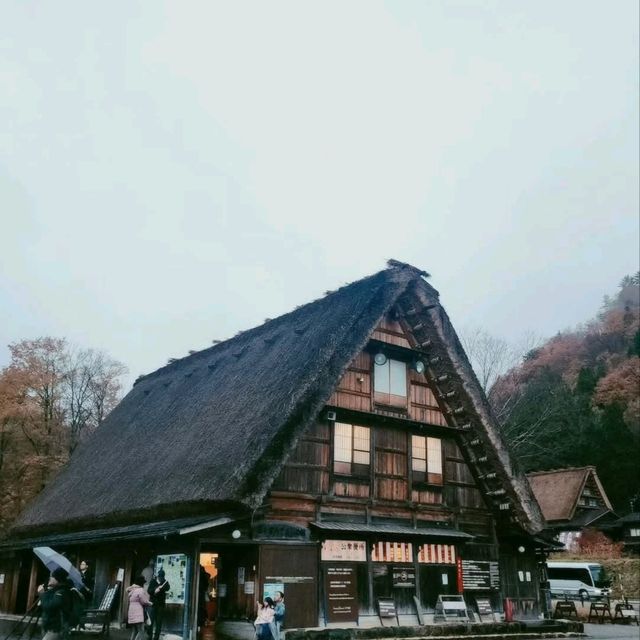 合掌村🌱世界文化遺產🎈一日遊行程⚡️名古屋必去景點