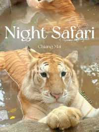 ไปหาน้องเอวา🐯ที่เชียงใหม่