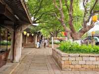An enchanting little anciemt town in Jiangnan, Wuzhen