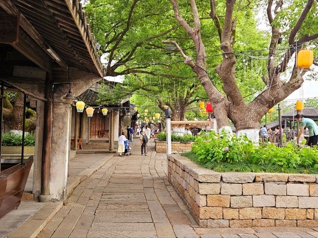 An enchanting little anciemt town in Jiangnan, Wuzhen