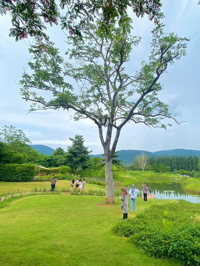 BU-CO-LIC khao yai