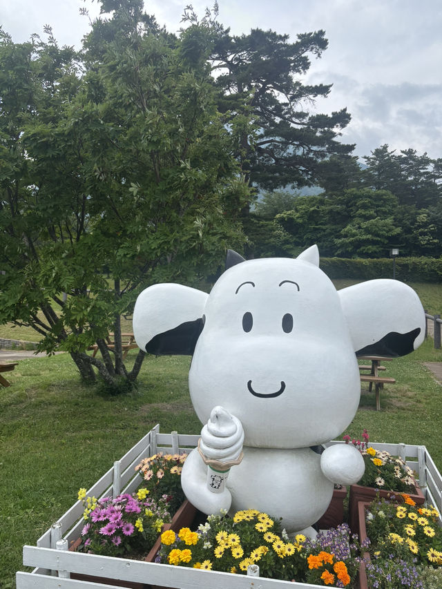 鳥取県‼︎夏のおすすめプラン✨☀️