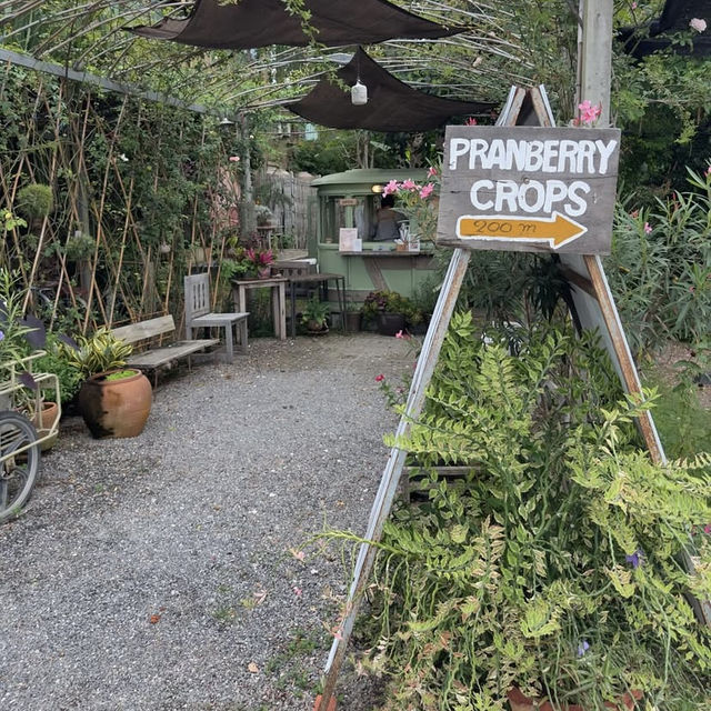  Pranberry Earth