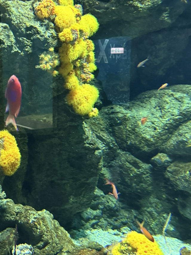 虛實交織的平行宇宙：桃園Xpark
