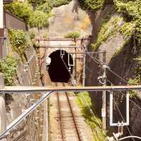 Kamakura Summer Serenity: Temples, Sea Breezes & Matcha Soft Serve