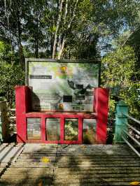 City Mangrove Park – A Perfect Summer Escape into Nature