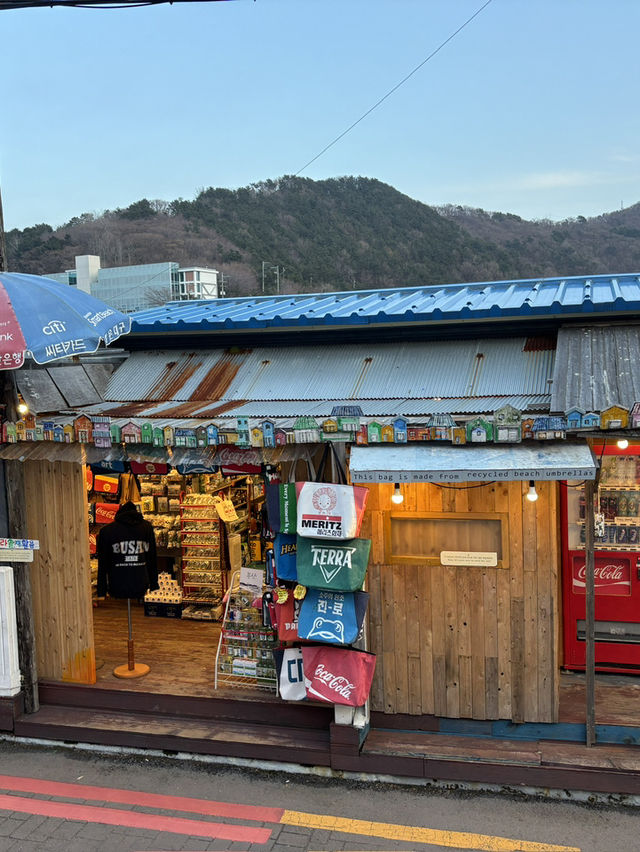 부산 강아지랑 가볼만한곳 추천 여행지