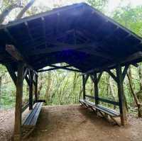蘭嶼輕鬆健行的登山步道～大天池