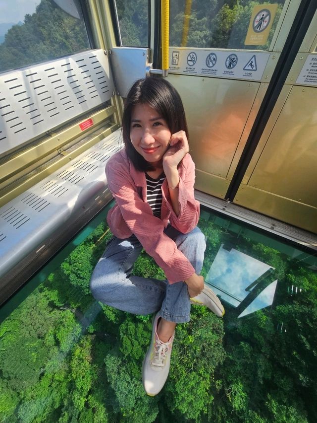 ไม่ ไป ถือ ว่า พลาด พระ ใหญ่ นอง ปิง ฮ่องกง