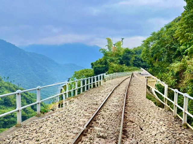 雲嘉連峰縱走巡禮～看茶園賞雲海及鐵道