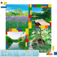 潼湖濕地公園•鳥語花香的自然