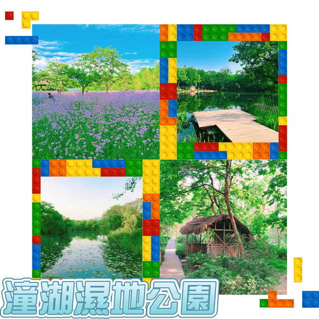 潼湖濕地公園•鳥語花香的自然